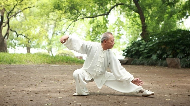 illustration of a tai chi master